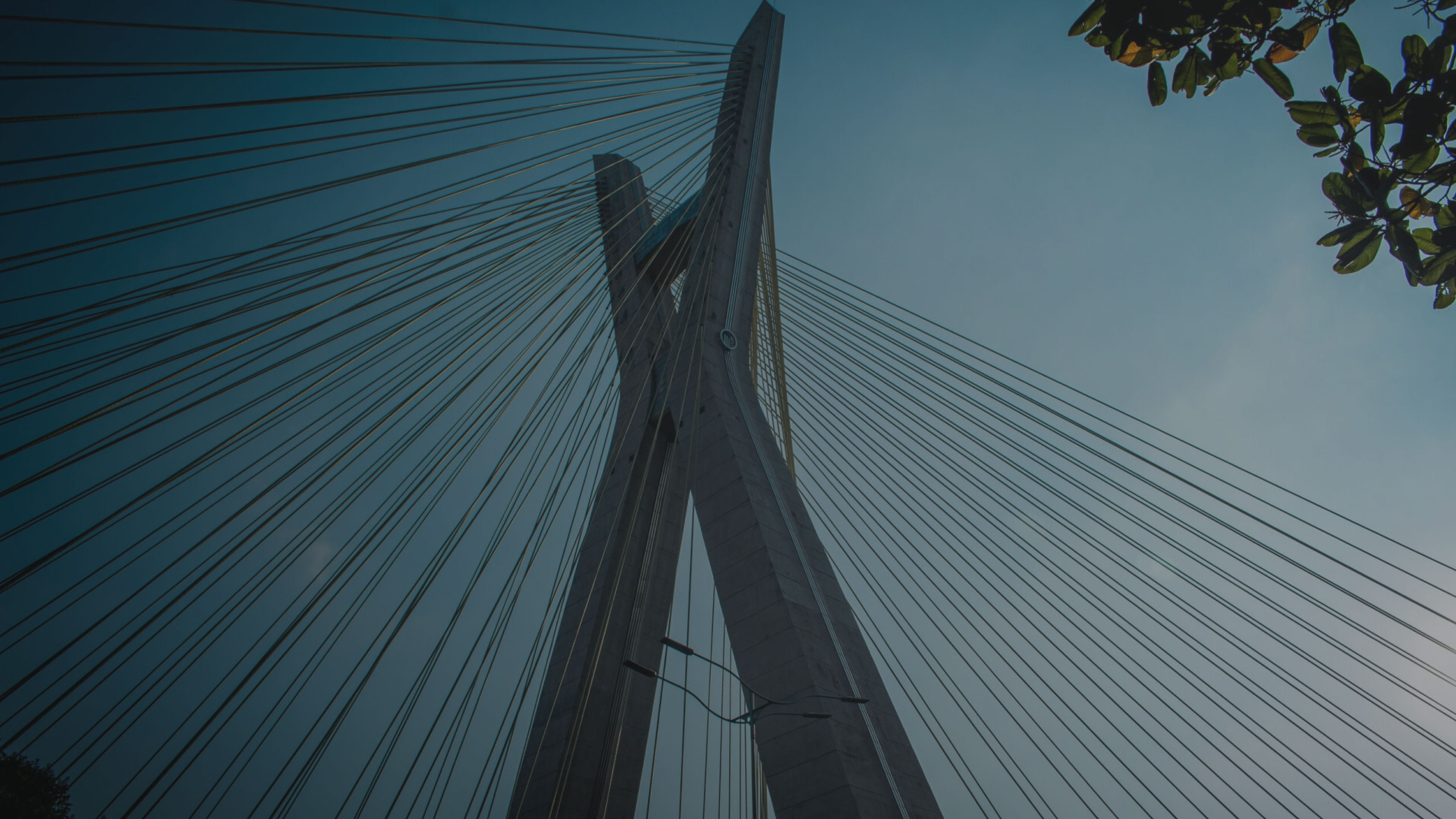 crossing bridge structure